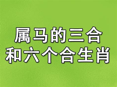 属马男|马的三合和六合生肖分别是什么 属马最佳婚配属相